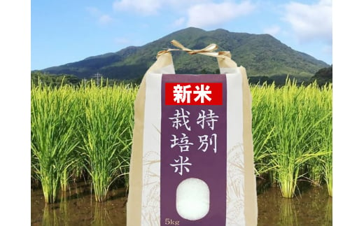 [定期便/年10回]農薬不使用の玄米「3種の特別栽培米」 5kg×10回定期便[田野のおいしいお米]