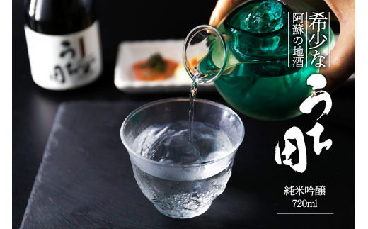 日本酒 うち田 純米吟醸 熊本限定販売 720ml 2本セット 998166 - 熊本県阿蘇市