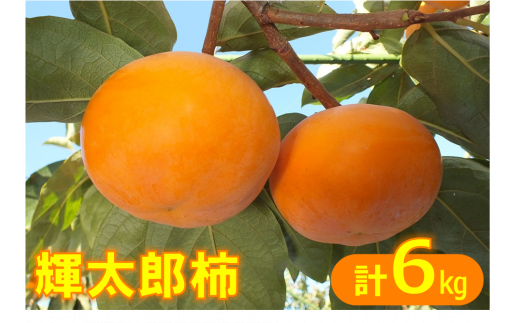 【ご家庭用】輝太郎柿（きたろうかき）6kg 【10月上旬～10月下旬お届け】 423061 - 鳥取県米子市