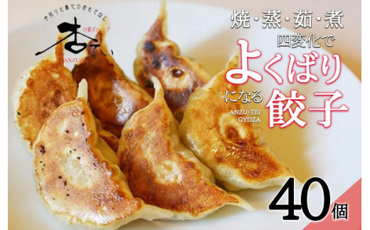 焼・蒸・茹・煮 四変化のよくばり餃子 40個 605829 - 長崎県諫早市