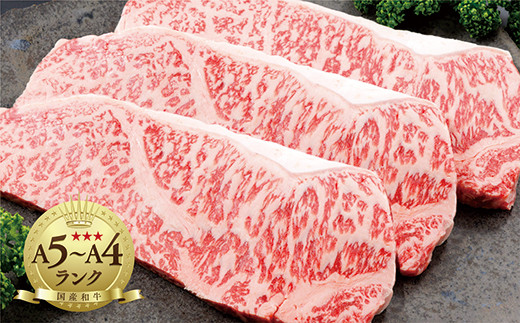 佐賀牛 ロース ステーキ 200g × 3枚 | 佐賀牛 ロース ステーキ 人気 ブランド 黒毛 和牛 ※画像はイメージです