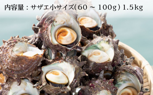 サザエ さざえ 約1.5kg Bサイズ(60g〜100g/個) 壱岐市 【マルショウ水産】 [JBB005] 14000 14000円