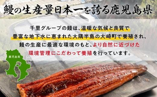 【数量限定】鹿児島県産うなぎ　カットうなぎ5袋（合計300g以上）