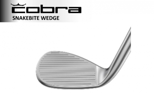 cobra SNAKEBITE WEDGE ダイナミックゴールド105 S200 コブラ ゴルフ