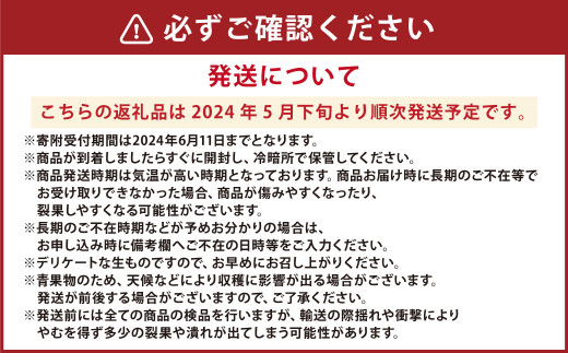 【2024年5月下旬発送開始】熊本県産 小玉すいか1玉と肥後グリーンメロン1玉