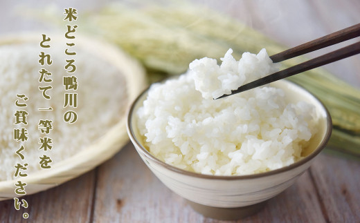 米どころ鴨川の”とれたて一等米”を是非ご賞味ください。