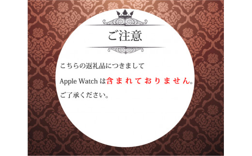 CN-009_Apple Watch専用シルバー925製チャーム_sevenstone(Diamond