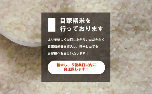 2022年度新米!!北海道特別栽培米ゆめぴりか白米20㎏×1個（9月下旬順次