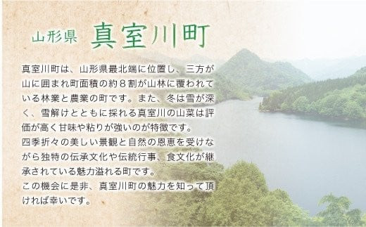 ＜配送時期が選べて便利な定期便＞ 令和5年産 特別栽培米 つや姫【無洗米】 定期便 60㎏（20kg×2カ月間隔で3回お届け） ＜配送時期指定可＞  山形県 真室川町|株式会社ちいき物産