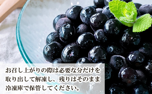 Y15-8 完熟 冷凍ブルーベリー 加工用途におすすめ2kg 南関町産 / 熊本