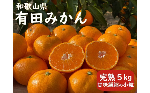 先行予約 完熟 有田みかん 5kg 甘味凝縮 小粒 産直42年 武内園