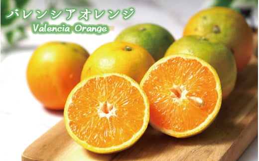 秀品　希少な国産バレンシアオレンジ　2.5kg　※2024年6月下旬頃～7月上旬頃順次発送（お届け日指定不可） 765424 - 和歌山県串本町