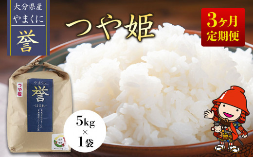 【先行予約】【3ヶ月定期便】九州米・食味コンクール最優秀賞受賞 令和6年産 大分県中津産やまくに誉 つや姫 5kg×1袋 (毎月1回)   お米 精米 白米 九州産 国産 熨斗対応可 お米 おいしい米 高評価米 中津市米 大分県米 九州米 999634 - 大分県中津市