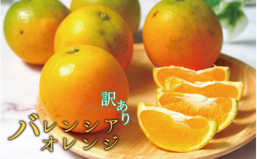【国産　訳あり】希少　バレンシアオレンジ 7kg【ご家庭用】 ※2026年6月下旬頃～7月上旬頃 順次発送予定【uot712】 2206038 - 和歌山県新宮市