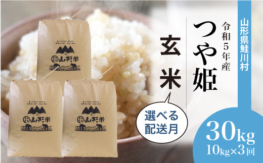 令和5年産 特別栽培米 つや姫 【玄米】 定期便 30kg（10kg×1カ月ごと3