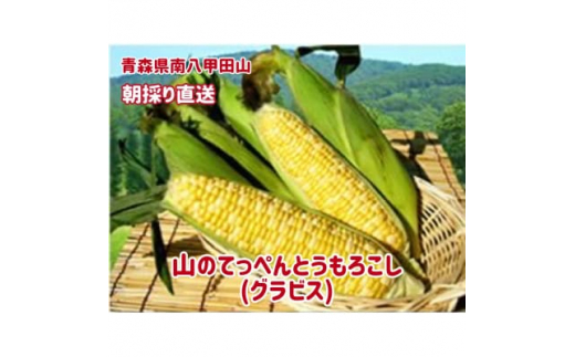 青森県青森市のふるさと納税 お礼の品ランキング【ふるさとチョイス