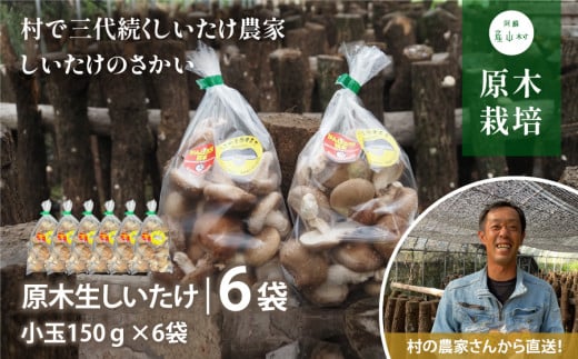 阿蘇・産山村産　原木生しいたけ小玉900g（150g×6袋）