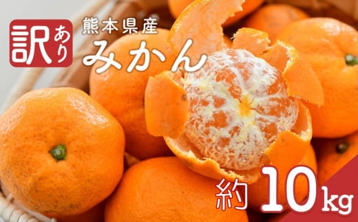 熊本県産 訳あり みかん 約10kg | フルーツ 果物 くだもの 柑橘 ミカン みかん 蜜柑 熊本県 苓北町