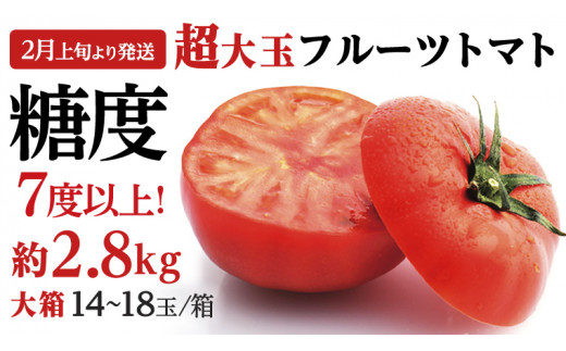 【2024年2月上旬発送開始】 超大玉 フルーツトマト 大箱 約2.8kg ×1箱 （14～18玉/1箱）糖度7度以上 トマト とまと 野菜[BC021sa] 591351 - 茨城県桜川市