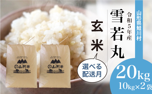 令和5年産 雪若丸 【玄米】 20kg（10kg×2袋）＜配送時期指定可＞ 山形県 鮭川村