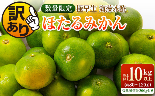 訳あり≪数量限定≫極早生『海藻木酢ほたるみかん』(計10kg以上)傷み補償分200g付き　フルーツ　果物　柑橘　国産 B204-22