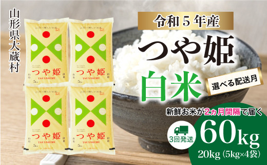 令和5年産 大蔵村 特別栽培米 つや姫【白米】 定期便 60㎏（20kg×2カ月間隔で3回お届け） ＜配送時期指定可＞