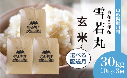 令和5年産 雪若丸 【玄米】 定期便 30kg（10kg×1カ月ごと3回お届け）＜配送時期指定可＞ 山形県 鮭川村