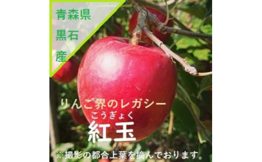 青森県産りんご 葉とらず紅玉 3K箱【1425256】 - 青森県黒石市