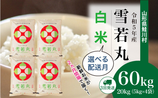 雪若丸 20kg 山形 特別栽培米 令和5年-