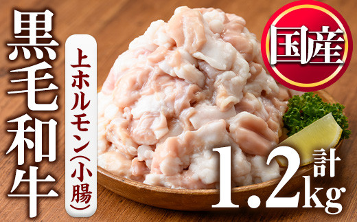 No.1001-02 黒毛和牛上ホルモン(計1.2kg)【カミチク】 / 鹿児島県日置