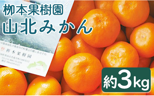 栁本果樹園の山北みかん3kg(露地・2S～M) 果物 柑橘 ミカン 蜜柑 フルーツ Byg-0003|栁本果樹園