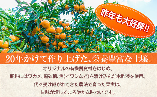 【年内発送】訳あり≪数量限定≫海藻木酢みかん(計10kg以上)傷み補償分200g付き　フルーツ　果物　柑橘　ミカン　国産 B207-23