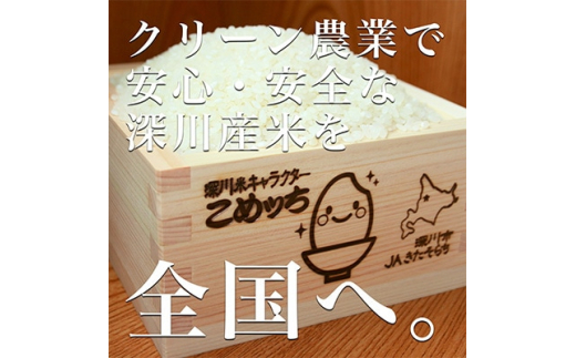 毎月定期便＞北海道深川産ななつぼし10kg(5kg×2)(無洗米)全12回