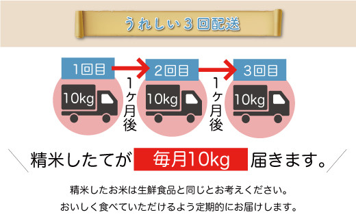 令和5年産 大蔵村 雪若丸 【無洗米】 定期便 30㎏（10kg×1カ月間隔で3回お届け） ＜配送時期指定可＞|株式会社ちいき物産（もがみ南部営業所）