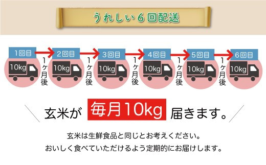 2023年産 先行受付＞ 令和5年産 特別栽培米 つや姫 【玄米】 定期便