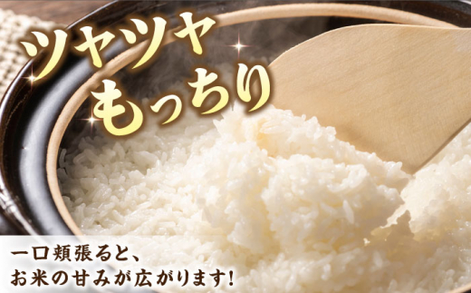 令和4年産】福岡県産米 夢つくし 5kg×2袋《築上町》【有限会社ファイン