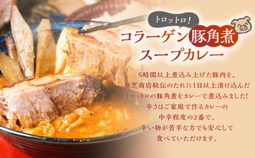 奥芝商店　竜宮の賄い海鮮スープカレー×トロトロ豚角煮スープカレー