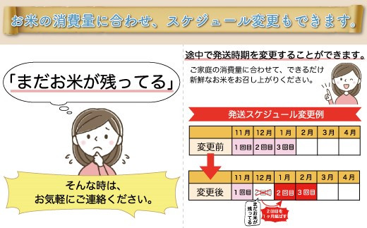 令和5年産 大蔵村 雪若丸 【無洗米】 定期便 30㎏（10kg×1カ月間隔で3回お届け） ＜配送時期指定可＞|株式会社ちいき物産（もがみ南部営業所）