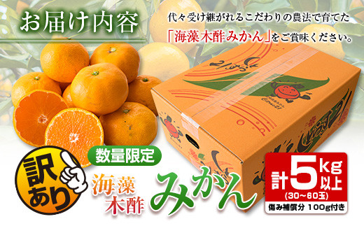 訳あり≪数量限定≫海藻木酢みかん(計5kg以上)傷み補償分100g付き