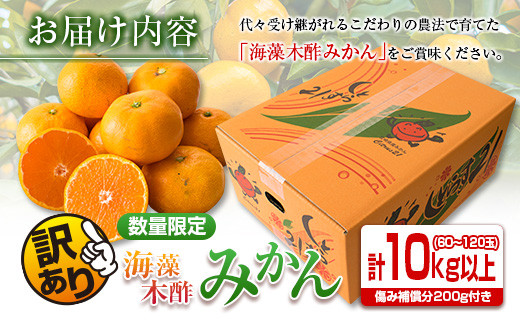 【年内発送】訳あり≪数量限定≫海藻木酢みかん(計10kg以上)傷み補償分200g付き　フルーツ　果物　柑橘　ミカン　国産 B207-23