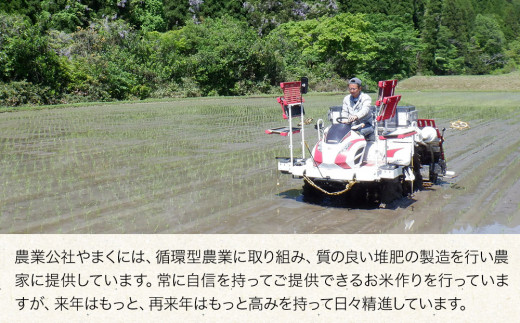 【令和5年度 新米】大分県中津市産 やまくに誉 つや姫 5kg×1袋 お米 精米 白米 九州産 熨斗対応可|公益社団法人　農業公社やまくに