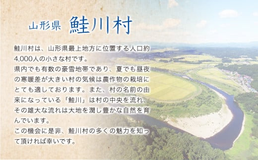 令和5年産 特別栽培米 つや姫【無洗米】 定期便 60㎏（20kg×2カ月間隔