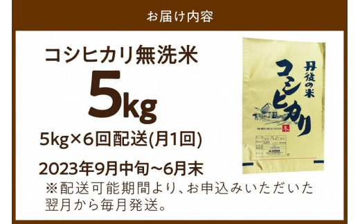 6ヶ月定期便】2023年産 京都・丹後コシヒカリ 無洗米 5kg - 京都府