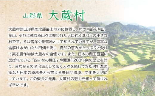 令和5年産 大蔵村 雪若丸 【無洗米】 定期便 60㎏（20kg×2カ月間隔で3