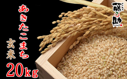 【2024年11月発送開始】 令和6年産 新米 岩手県産 あきたこまち 玄米 20kg ／  十一代目藤助 米 産地直送 農家直送 689333 - 岩手県八幡平市