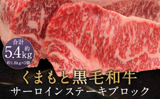 くまもと黒毛和牛 サーロインステーキ ブロック 約5.4kg ステーキ 肉 985075 - 熊本県人吉市