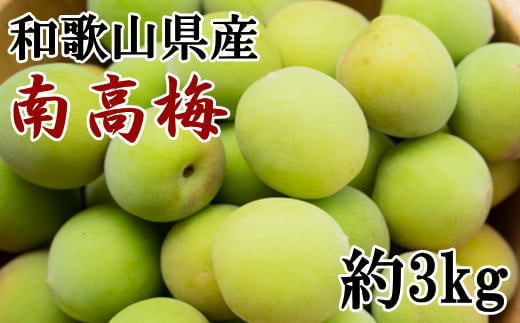 【和歌山名産】南高梅約3kg（サイズ混合）・秀品　※2024年6月初旬から6月下旬頃順次発送 / 青梅 梅干し 梅酒 梅シロップ ジャム 1001229 - 和歌山県串本町