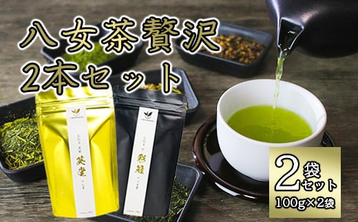 八女茶贅沢2本セット（100g×2袋） 1001729 - 福岡県八女市