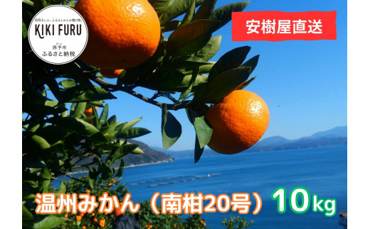 お得 愛媛県産 南柑20号 みかん 10kg ryokan-yamatoya.com