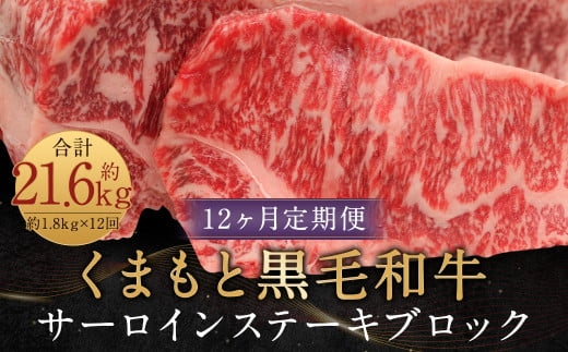【12ヶ月定期便】くまもと黒毛和牛サーロインステーキブロック 約1.8kg 計約21.6㎏ ステーキ 肉